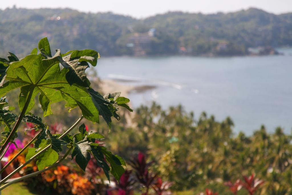 Casa Los Arcos Hotell Sayulita Exteriör bild